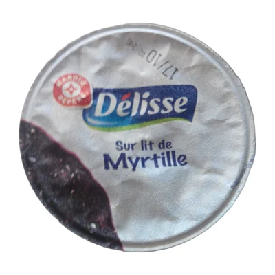 Encas riche en protéines sur lit de myrtille Délisse